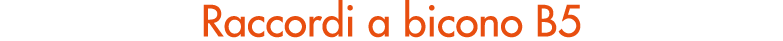 Raccordi a bicono B5